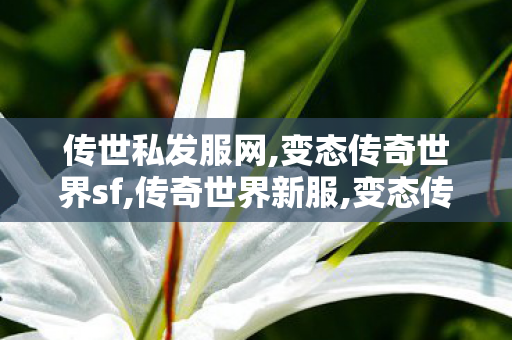 传世私发服网,变态传奇世界sf,传奇世界新服,变态传奇世界sf