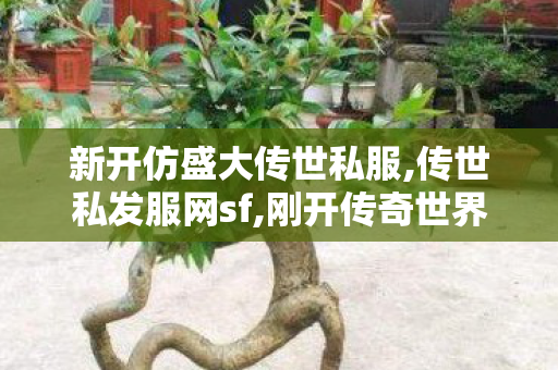 新开仿盛大传世私服,传世私发服网sf,刚开传奇世界私服,传世私发服网sf