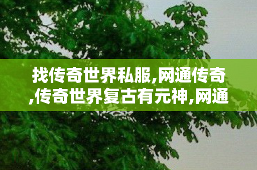 找传奇世界私服,网通传奇,传奇世界复古有元神,网通传奇