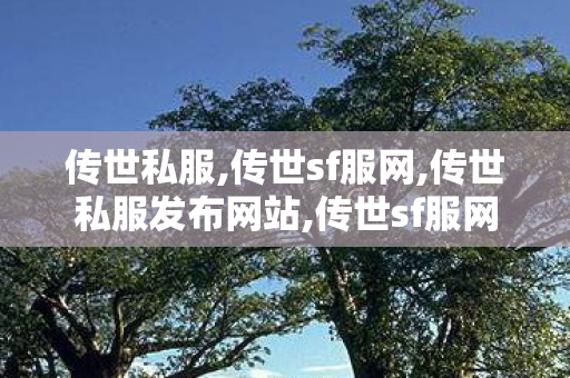传世私服,传世sf服网,传世私服发布网站,传世sf服网