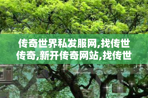 传奇世界私发服网,找传世传奇,新开传奇网站,找传世传奇