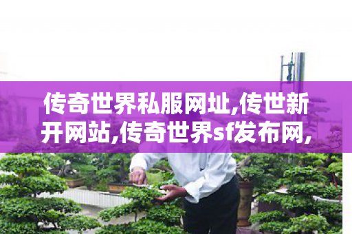 传奇世界私服网址,传世新开网站,传奇世界sf发布网,传世新开网站
