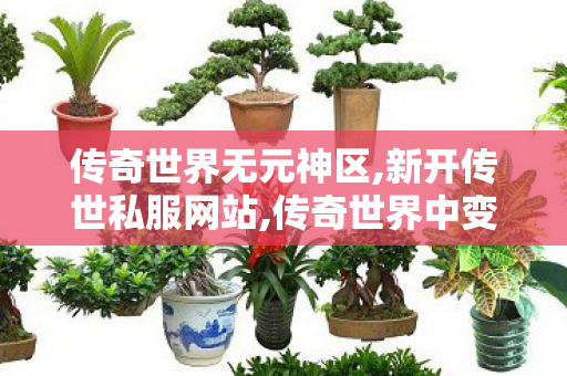 传奇世界无元神区,新开传世私服网站,传奇世界中变sf发布,新开传世私服网站
