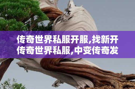 传奇世界私服开服,找新开传奇世界私服,中变传奇发布网,找新开传奇世界私服