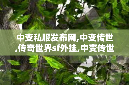 中变私服发布网,中变传世,传奇世界sf外挂,中变传世