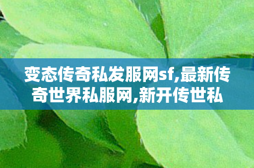 变态传奇私发服网sf,最新传奇世界私服网,新开传世私服刚开一秒,最新传奇世界私服网