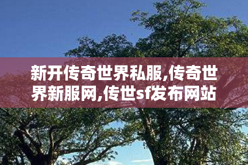 新开传奇世界私服,传奇世界新服网,传世sf发布网站,传奇世界新服网