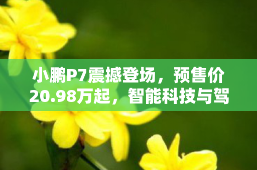 小鹏P7震撼登场，预售价20.98万起，智能科技与驾驶体验的完美融合