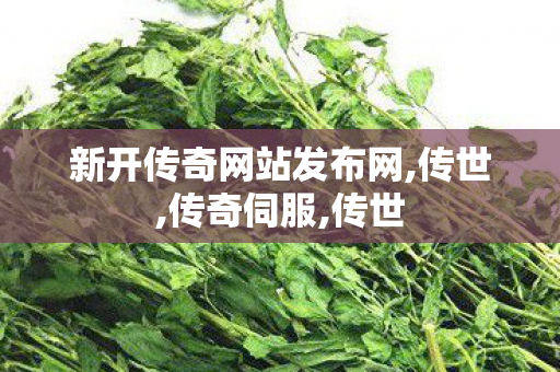 新开传奇网站发布网,传世,传奇伺服,传世
