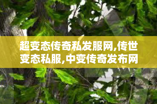 超变态传奇私发服网,传世变态私服,中变传奇发布网,传世变态私服