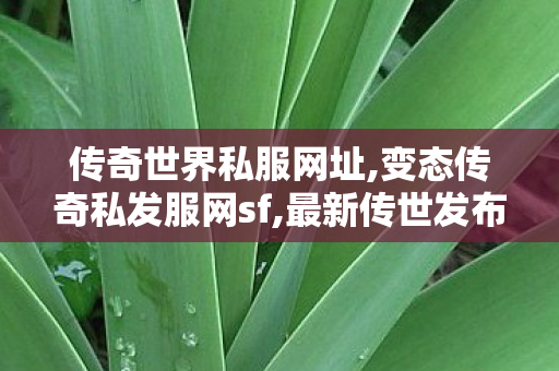 传奇世界私服网址,变态传奇私发服网sf,最新传世发布网,变态传奇私发服网sf