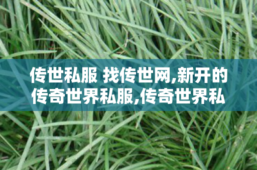 传世私服 找传世网,新开的传奇世界私服,传奇世界私服发布网,新开的传奇世界私服