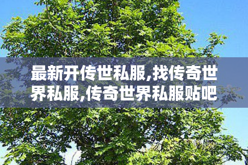 最新开传世私服,找传奇世界私服,传奇世界私服贴吧,找传奇世界私服